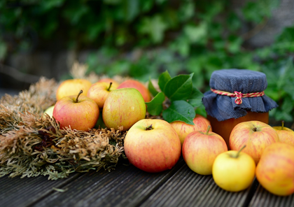 apples-5543778_1280.jpg