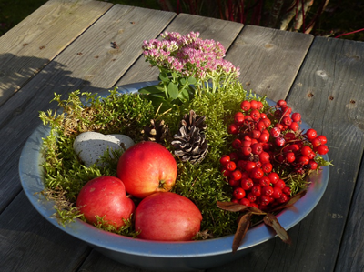 autumn-arrangement-976913_960_720.jpg autumn-arrangement-976913_960_720.jpg